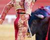 Bullfighting soon to be banned for minors under 16, due to the “risk of trauma” for the youngest? The Senate answers “no”, for the moment, after an examination yesterday in the law committee