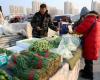 China-Consumer price rise slowed in October