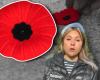 Remembrance Day: the story of the poppy