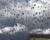 Weather in the Pyrénées-Orientales: 100 mm of rain in 3 hours on the coast, leading to a drop in temperatures