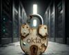 Okta login vulnerability fails to verify passwords