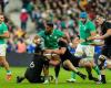 Autumn tour 2024 – Ireland takes revenge, Wales gets its head above water… Our predictions for the weekend’s test matches