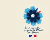 National Bleuet de France campaign – November 11, 2024 – News