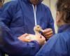 A first outbreak of Avian Influenza in the Landes