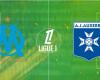 Auxerre: At what time and on which channel to watch the Ligue 1 match this evening?