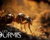 Microïds revives the blessed time of…ant colonies