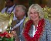 Suffering Queen Camilla will miss Remembrance Day ceremonies