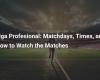 Liga Profesional: Match days, schedules and how to watch the matches