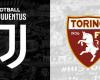 Official Juventus team to face Torino – Vlahovic and Yildiz start together