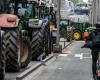 “The cup is full again”: young farmers took action on Walloon roads