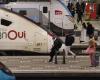 Cat of two Bordeaux women crushed by a train: SNCF released on appeal