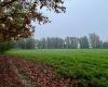 Weather report. What is the weather like this Saturday, November 9 in Hauts-de-France?