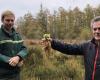 In Orne, we protect peatlands, which can capture carbon