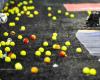 Angers, Lens, Red Star… the reasons for tennis ball throwing during weekend matches in Ligue 1 and Ligue 2