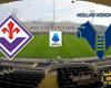 Fiorentina vs Verona: Preview and Prediction