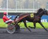 Lovely du Vallon wins with Mathieu Mottier in Vincennes