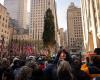 Massachusetts Norway Spruce arrives in NYC as Rockefeller Center Christmas Tree