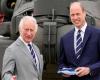 'Watergate for the royal family': Charles and William would have made millions thanks to public services