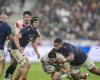 XV of France – “8 tries, but so little teaching: can't wait for Saturday!”, the novel of this France-Japan