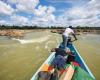 In Guyana, an exceptional drought disrupts daily life on the rivers