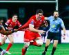 Pro D2 – Star of the week: Richard Hardwick (Grenoble), leader at heart