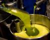 Brazilian olive oil in Morocco, a strategic response to rising prices