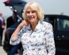 Suffering, Queen Camilla absent from commemoration ceremonies