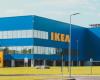 IKEA reports higher profits despite lower sales due to price cuts