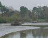 we must save these concrete barges, a unique river heritage in France