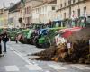 farmers from Marne and Ardennes call for demonstrations from November 17 to 19