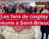 VIDEO. The Japan Breizh Con’ attracts thousands of manga culture fans to Saint-Brieuc