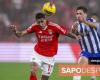 VIDEO: Benfica and FC Porto tied at half-time. Eagles dominated, but allowed equality. Watch the 'film' of the 1st part – I Liga