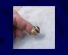 a diver finds a ring lost in the ocean 50 years ago and returns it to its owner