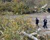 LGV Bordeaux-Toulouse: north of Toulouse, opponents of the project are organizing after the felling of several trees