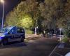 A man stabbed in Marcq-en-Barœul while walking his dog, a suspect arrested