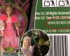 A link on the boxes of dolls from the film “Wicked” leads to a porn site… Mattel apologizes