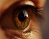 stem cell treatment restores sight in patients with severe eye disorders