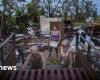 Cuba shakes: Hurricane Rafael and earthquakes hit island hard – News