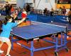 In Quimper, 64 table tennis players compete in the first round of the South Finistère Youth Circuit