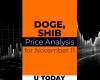 DOGE and SHIB Price Prediction for November 11