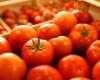 Trade: tomato prices return to normal