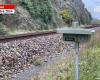 VIDEO. In Loire-Atlantique, scarers to avoid collisions between trains and animals