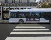 Parisian bus driver fired for intimidating cyclist