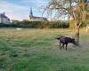 a conference to follow with the Perche Natural Park