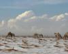 Exceptional snowfall in the desert in Saudi Arabia