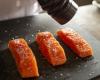 Farmed salmon soon on your plate