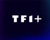 Arte and its 2000 hours of content are coming to TF1+, availability soon on Freeboxes