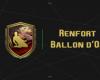 Solution DCE Reinforcement Ballon d’Or EA FC 25 – Guides