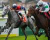 Flamboyante shines in the Grand National of the Anglo-Arabs