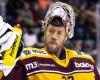 “I feel better and better as the matches go on,” says Antti Raanta, GE-Servette’s star goalkeeper – rts.ch